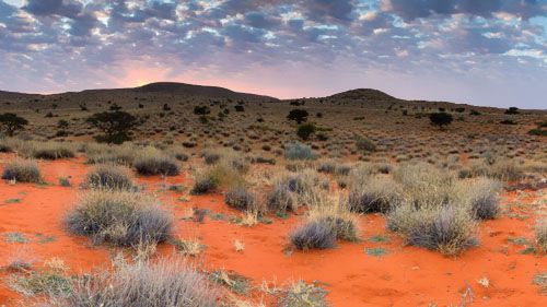 博茨瓦納卡拉哈里銅帶擬于2022年開(kāi)始商業(yè)化開(kāi)采